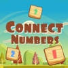 Connect Numbers!