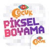 TRT Piksel Boyama