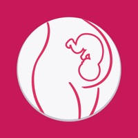 Embarazo Semana a Semana Embarazo Semana a Semana