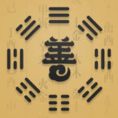 善奇·八字排盘-周易生辰八字算命大师