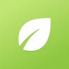 The Essential Life – Oil Guide