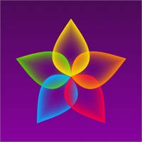 Psychics 24/7 Psychics 24/7