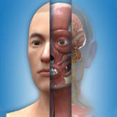 人卫3D人体解剖图谱 人卫3D人体解剖图谱