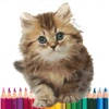 Meow Art Color By Number