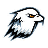 Wing – DJI无人机应用协作平台