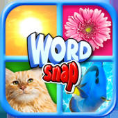 Word Snap – Brain Pic Games