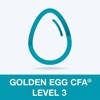 Golden Egg CFA® Exam Level 3 Golden Egg CFA® Exam Level 3