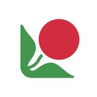 红杏智能