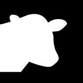 herd – campus stories