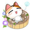 Min Meow Meow Full Pro Min Meow Meow Full Pro