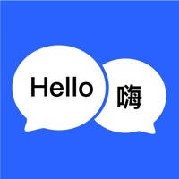 BT Translator