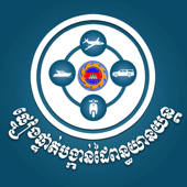 Vehicle Document Verification