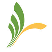 TornaMobile RO TornaMobile RO