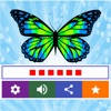 Learn Spelling – 100 languages