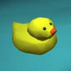 Water Ducks