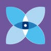 Iris – Video Analytics