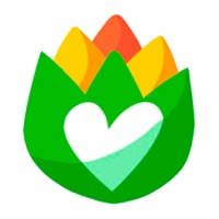 Fiestas de la Verdura – Tudela