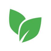 denki