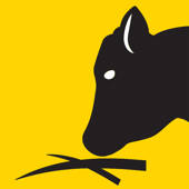 Emily’Feed Emily’Feed