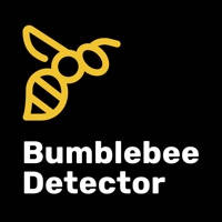 Bumblebee Detector Bumblebee Detector