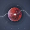 Horoscopy