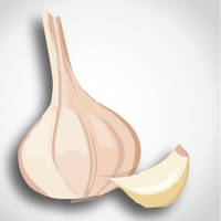 The Garlic Press The Garlic Press