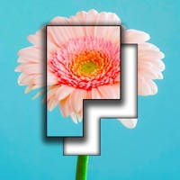 Pictominoes: Jigsaw Puzzles