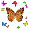1001 Butterflies