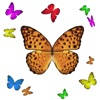 1001 Butterflies 1001 Butterflies