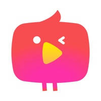 Nimo TV for Streamer – Go Live