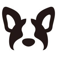 French Bulldog Life
