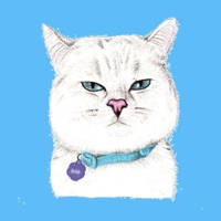 Cat – Emoji and Stickers