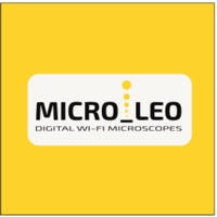 MICRO_LEO