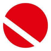 QuestionBank – Ôn thi vào 10