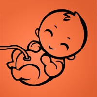 Your pregnancy – Day by Day
