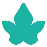 Your Book of Memories