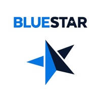 BlueStar-Sales BlueStar-Sales