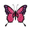 Gorgeous Butterflies