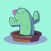 Cactus Boi