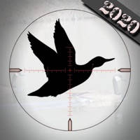Duck Hunting Calls –