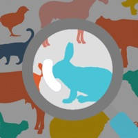 動物色彩 -間違い探しで色彩感覚をテスト診断-