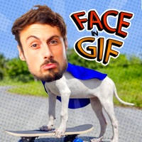 面对在Gif – 创建视频