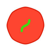 番茄钟 – 时间管理工具