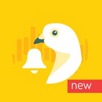 Squaber – giełdowe alerty