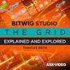 The Grid Explored Course by AV