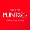 Punto 11