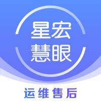星宏慧眼-线下审核