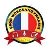 Learn French Daily