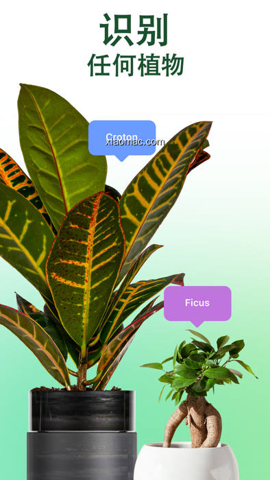【图】NatureID: Plant Identification(截图1)