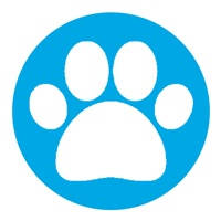 Pawsitive Pet Services Pawsitive Pet Services